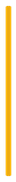 直界線.png
