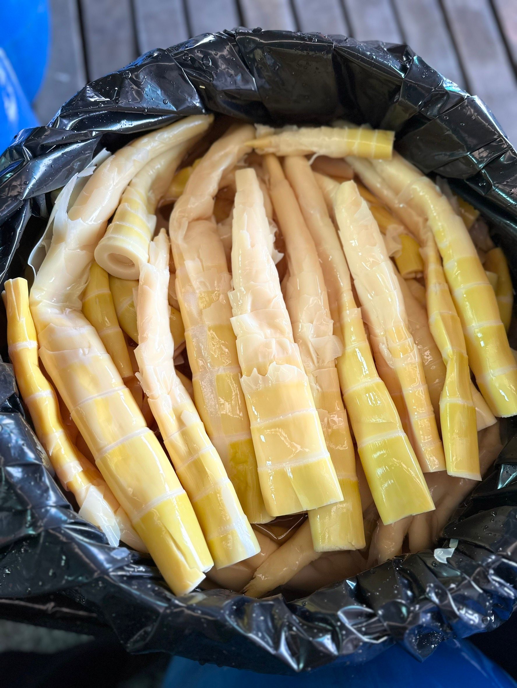 蕎篙筍小冰筍3.jpg